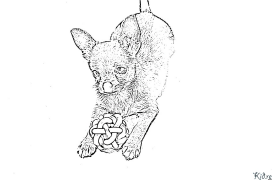 chihuahua Printable Coloring Nplooj Ntawv